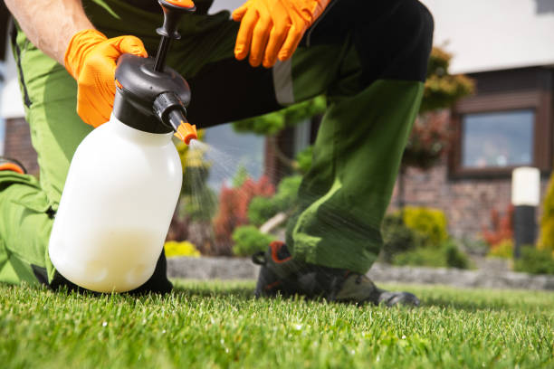 Professional Pest Control in Belleview, FL