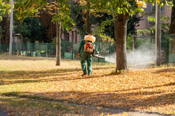 Best Pest Control Near Me in Belleview, FL
